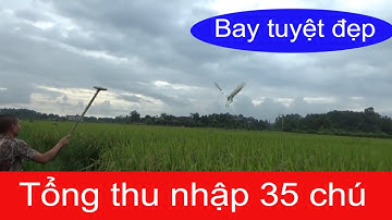 Bẫy Cò Bợ được tổng 35 con I Chia sẻ cách cắm que ở bờ