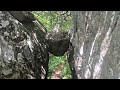 Appalachian Trail thru hike 2026/Day 75