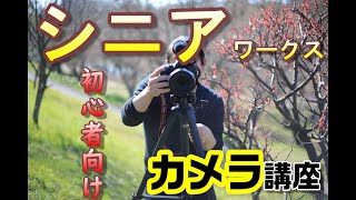 【高齢者向け】80代男性が夢中になれる趣味。気軽に始められるアイデア集