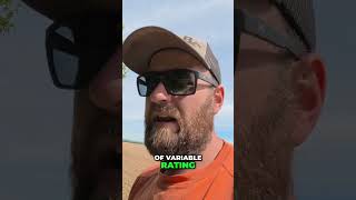 Farming Secrets: Planting Hybrid Corn Varieties for Top Yields! #shorts