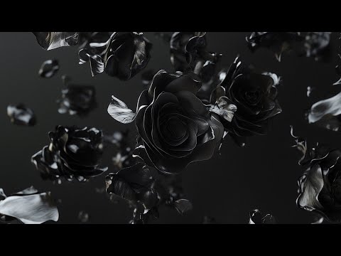 Whales - Die For You