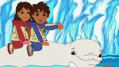 Ride the Dolphin | Go, Diego Go! Compilation Video