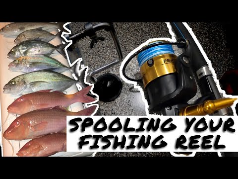 Quick, Easy & Cheap Way To Spool Your Fishing Reel 