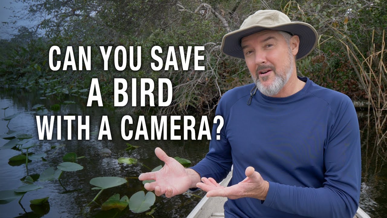 Episode 35: Can You Save A Bird With A Camera? - YouTube