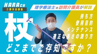 使う前に知っておきたい「杖の基本」-　介護のHARAちゃんねる