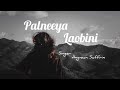 Palniya Laobini Saffrin LIMKA Official Audio 2025