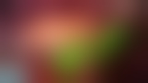 Laparoscopic Sentinel Lymph Node Dissection in Endometrial cancer by Dr Dinesh Kansal/ Cancer Uterus