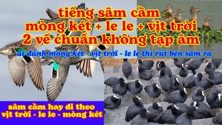 tiếng sâm cầm   mòng két - le le - vịt trời 2 vế chuẩn không tạp âm