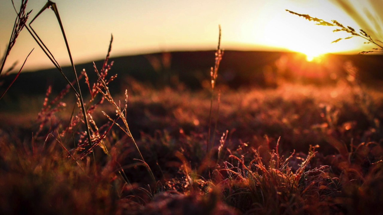 Sunrise by Frank Fable (Yoga music, chill music, Lounge music, study music)