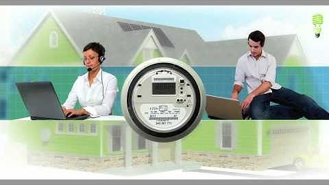 Smart Metering: A Capgemini SES Offerings