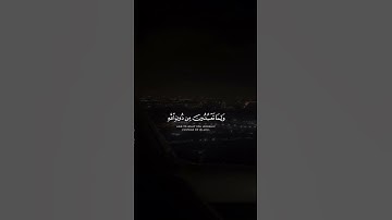 قران كريم|حالات واتساب|ماتيسر من"سورة الانبياء"الايه(٦٦-٦٧)القارئ اسلام صبحي❤️