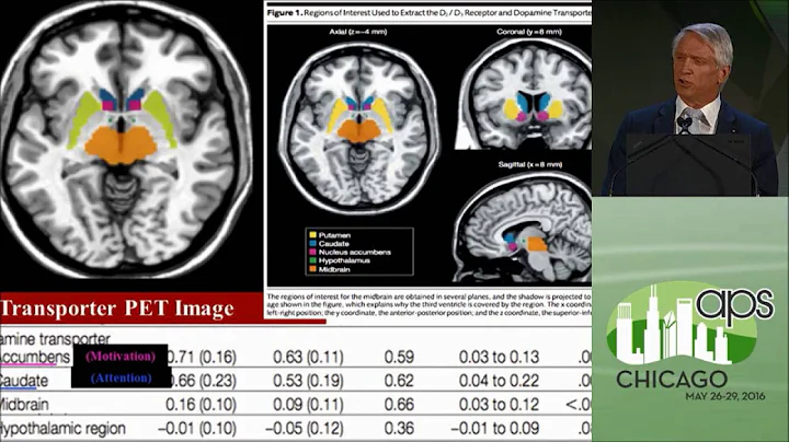 Stephen P. Hinshaw: The Development of Psychopatho...