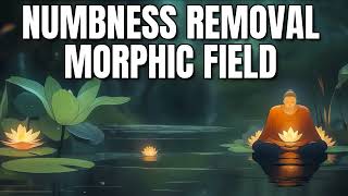 Numbness Removal Morphic Field (Whole Body & Brain) - Nerve Repair, Circulation & Sensitivity