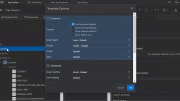 Oracle Apex 19.1 -  Change template options for interactive reports