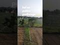 Day - 5#iat2026 #iiser #minivlog