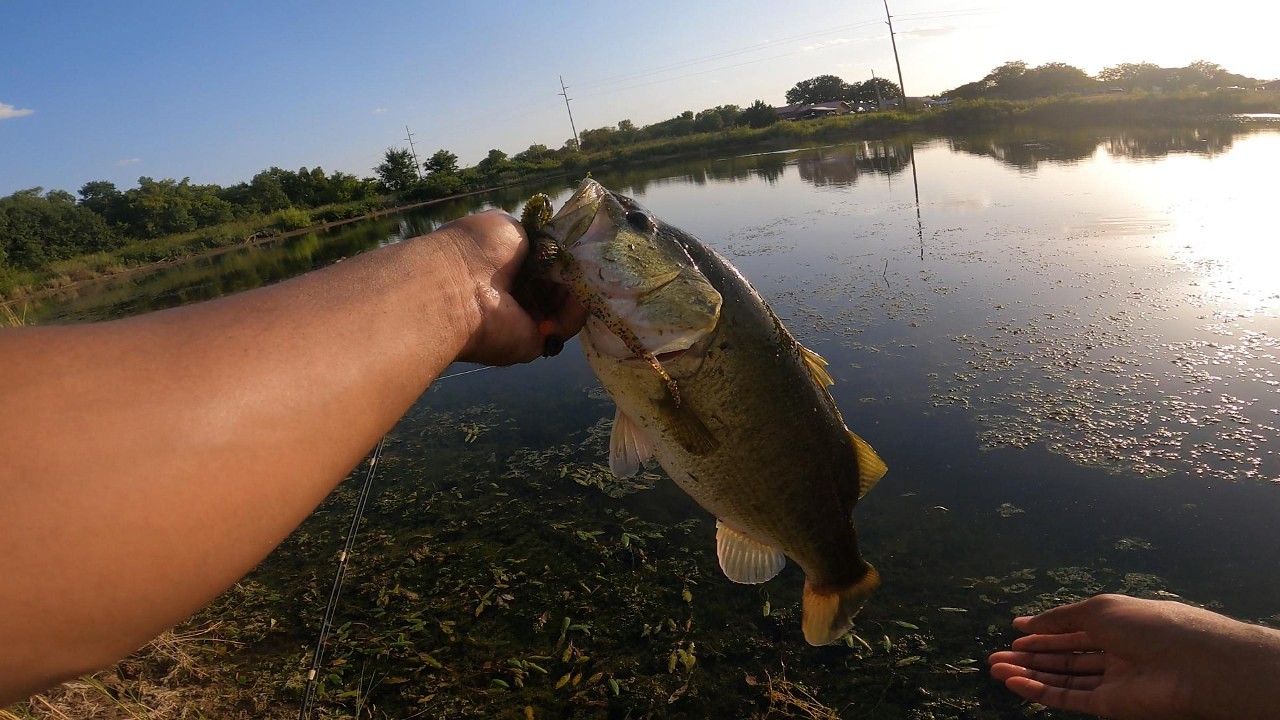 Roadside Fishing for BIG SUMMER BASS!
