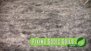 Fixing Sodic Soils #1042 (Air Date 32518)