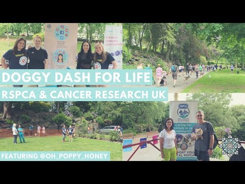 doggy-dash-for-life-|-rspca-&-cancer-research-uk-fundraiser