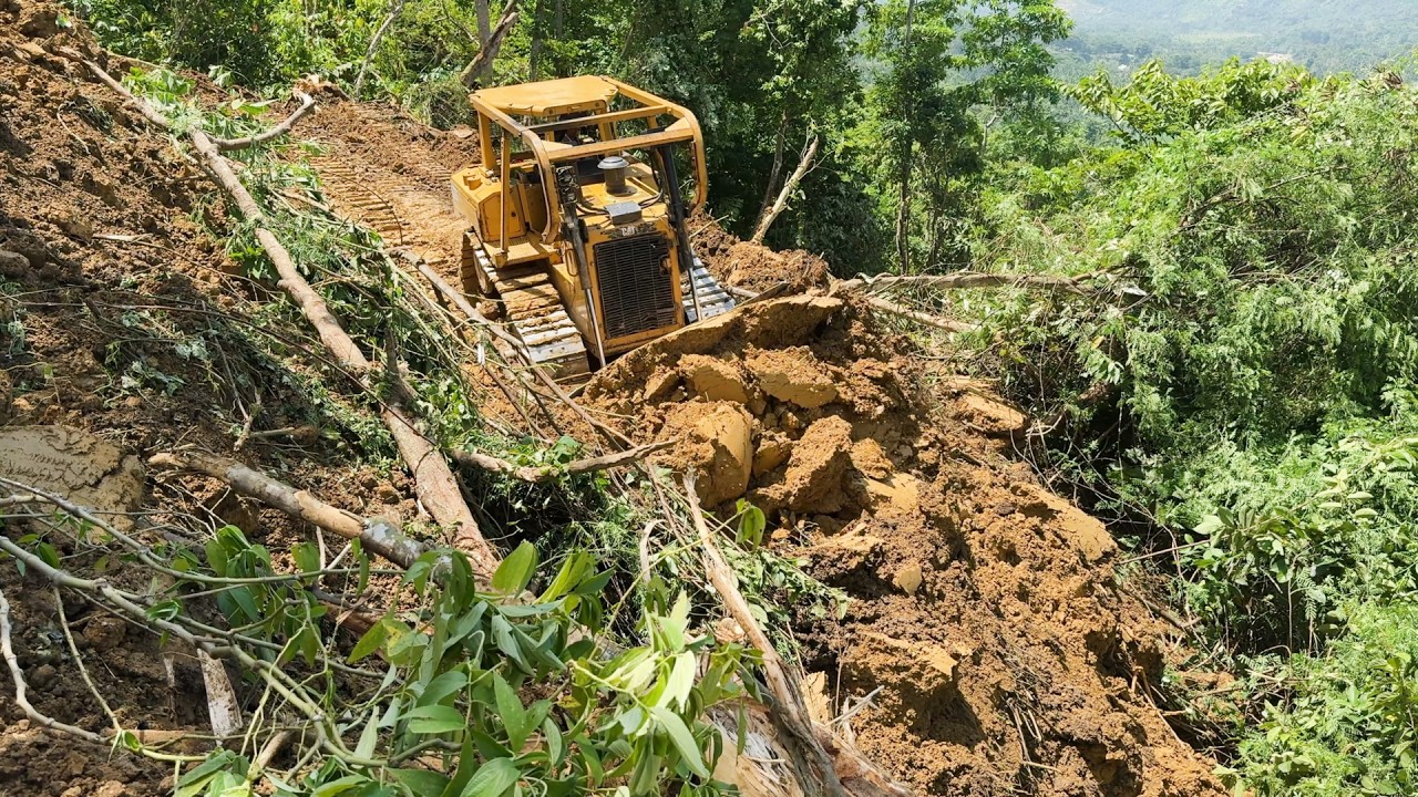 Effective Technique for Forming Palm Terraces on Mountain Slopes with the D6R XL Bulldozer