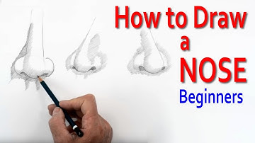 How to Draw a Nose - Beginners