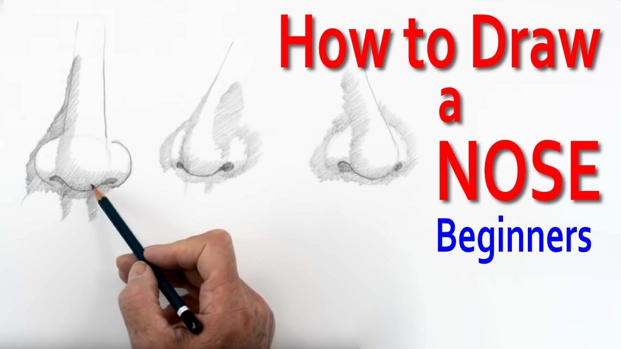 How To Draw A Nose Beginners Youtube