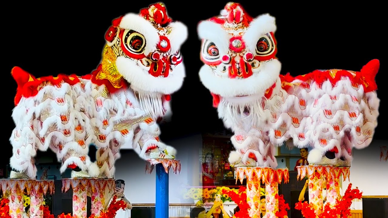 Múa Lân nhảy Mai Hoa Thung Hay Nhất 2026 LSR Hằng Anh Đường lễ Khai Quang Điểm Nhãn Lân Sư Rồng