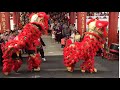 Lion Dance for Chinese New Year in Malaysia