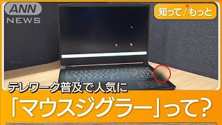 「働いてるふり」行員を一斉解雇　アメリカ銀行大手が…“マウス偽装工作”調査で判明【グッド！モーニング】(2024年6月18日)