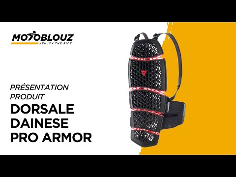 Dorsale Dainese Pro Armor, avis en vidéo par Motoblouz