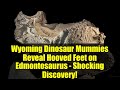 Wyoming Dinosaur Mummies Reveal Hooved Feet on Edmontosaurus - Shocking Discovery!