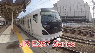 Japan Railway, JR Chuo Main Line, E257 Series, E256-13, Kaiji, Hachioji Station, 2/28/2014