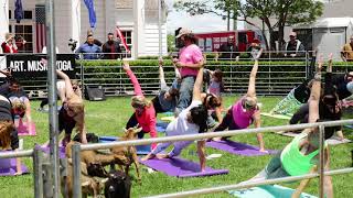 Earthx 2018 - Yoga In Fair Park With Goats