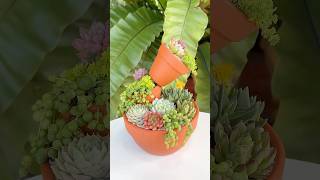 How to Make a Beautiful Succent Arrangement | Step-by-Step Guide