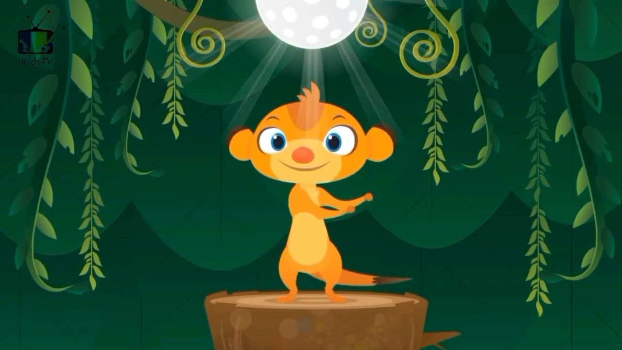 Wonderful Experience with Duck Duck Moose Reading/Kids Learning Games/Amazing Animals