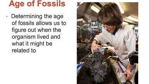 The Theory of Evolution Video