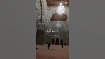 القرآن الكريم.تلاوة رائعة #استغفرالله #اكسبلور #لايك #استغفار #ترند #تيك_توك #راحة_نفسية