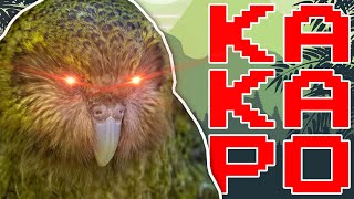 This parrot CAN&#39;T fly (+ Face Reveal)