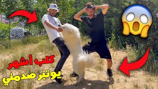 وأخيرًا التقيت اشهر يوتبر Fayssal Vlog ?? صاحب أندر كلب بالعالم صدمني بذكاء ديالو??