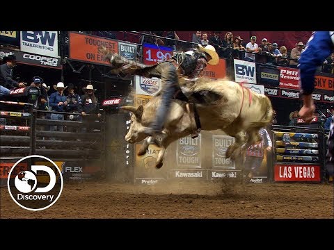 Wie man ein amerikanischer Torero