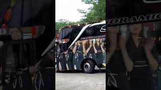 Bus Sempati Star Lewat Sintijau Lauik Livery Bisa Joget