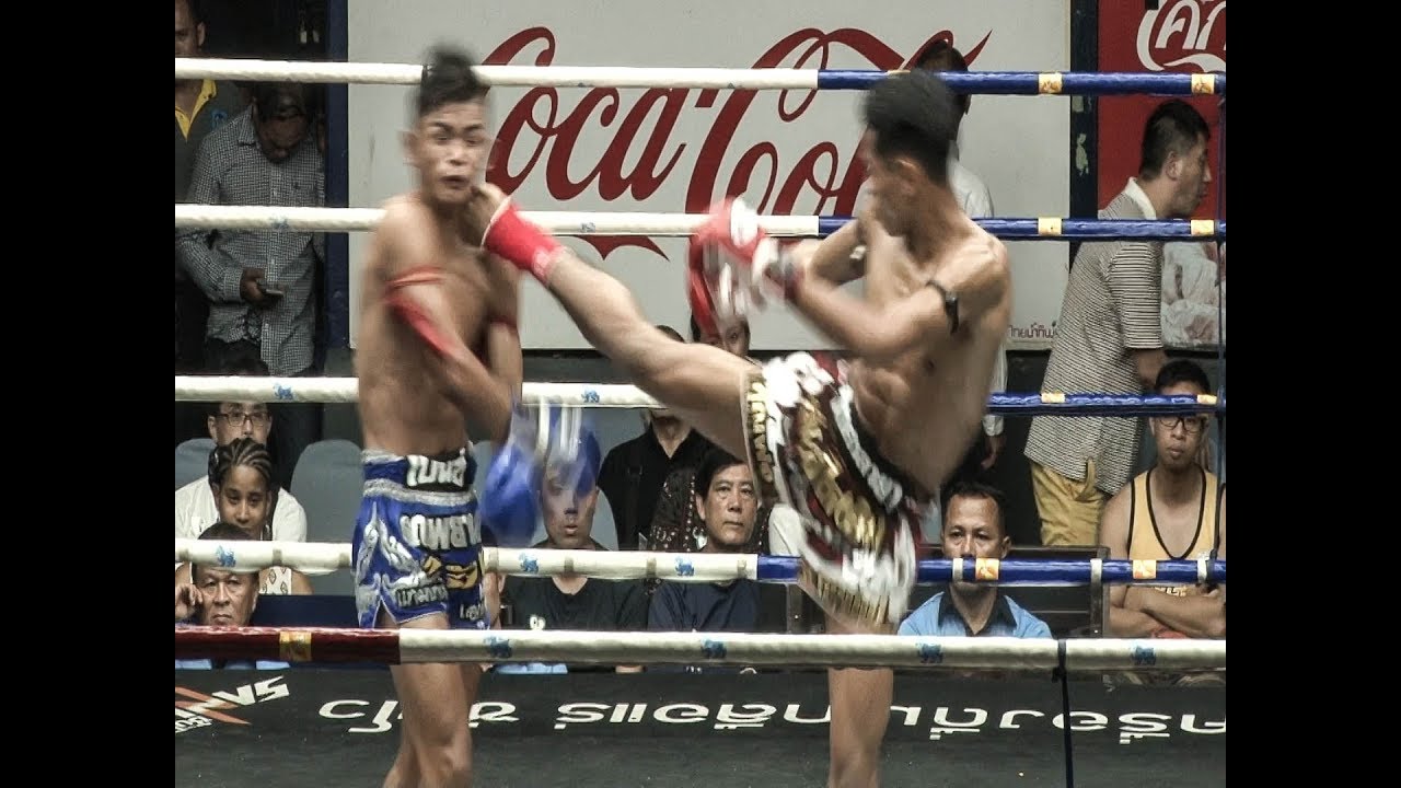 Muay Thai K.O. Horrendous Head Kick K.O. ! YouTube