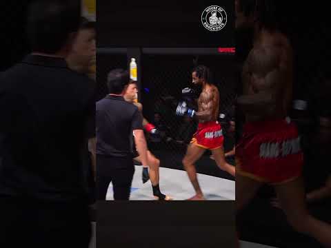 Nieky Holzken KO!!