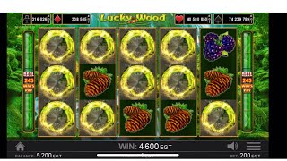 Lucky Wood - Egt Slot