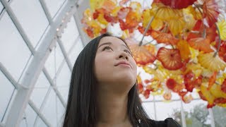 Visit Seattle | First Takes (JP) | ユキ| マジック・イン・ザ・ガーデン