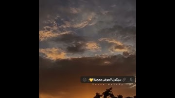 القارئ سالم الرويلي || سورة القلم - حالات واتس قرآن