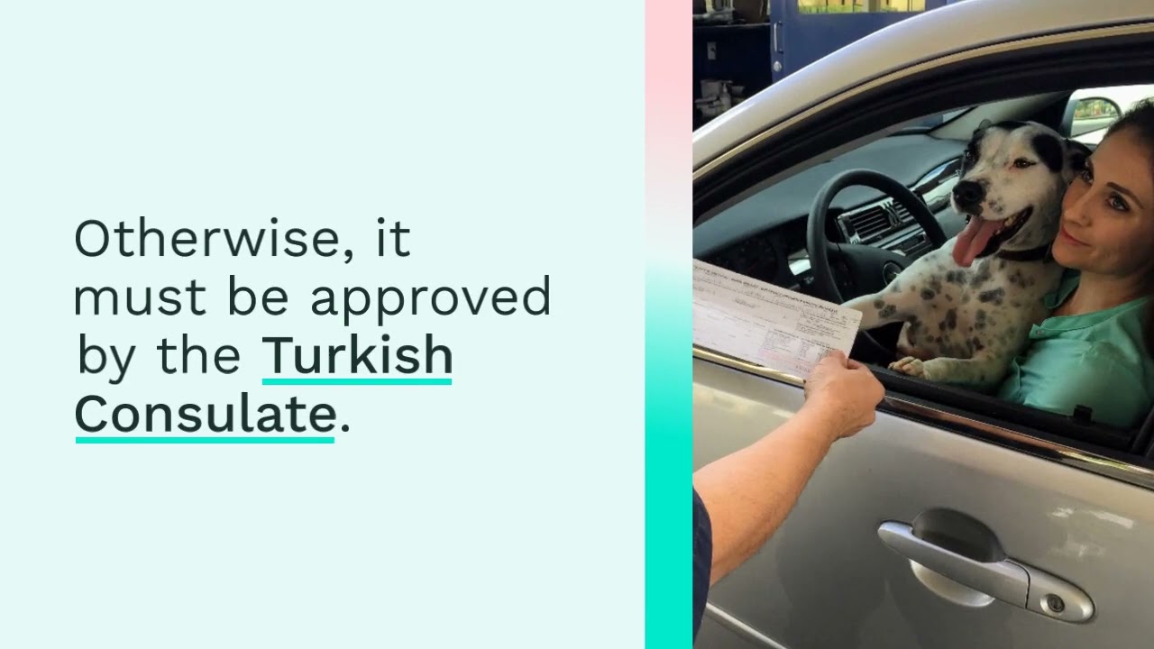 Obtaining a Criminal Record Certificate in Turkey | Step-by-Step Guide | Cindemir Law Office