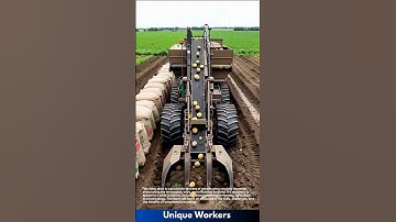 Automated harvest: a simple guide to potato harvesting