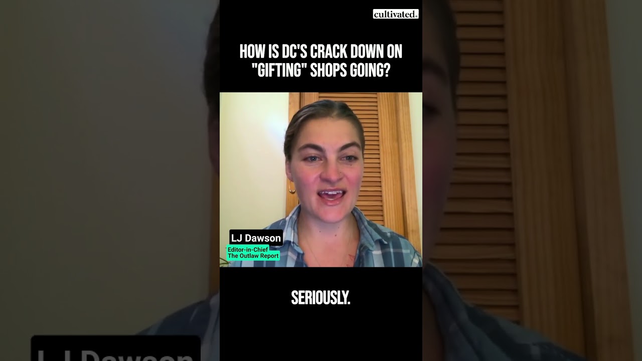 Is DC really cracking down on unlicensed cannabis shops?