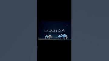 سورة الغاشية | عبد الرحمن مسعد