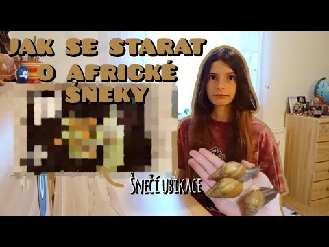 Video: Domácí suchozemští šneci. Jak se starat o šneky